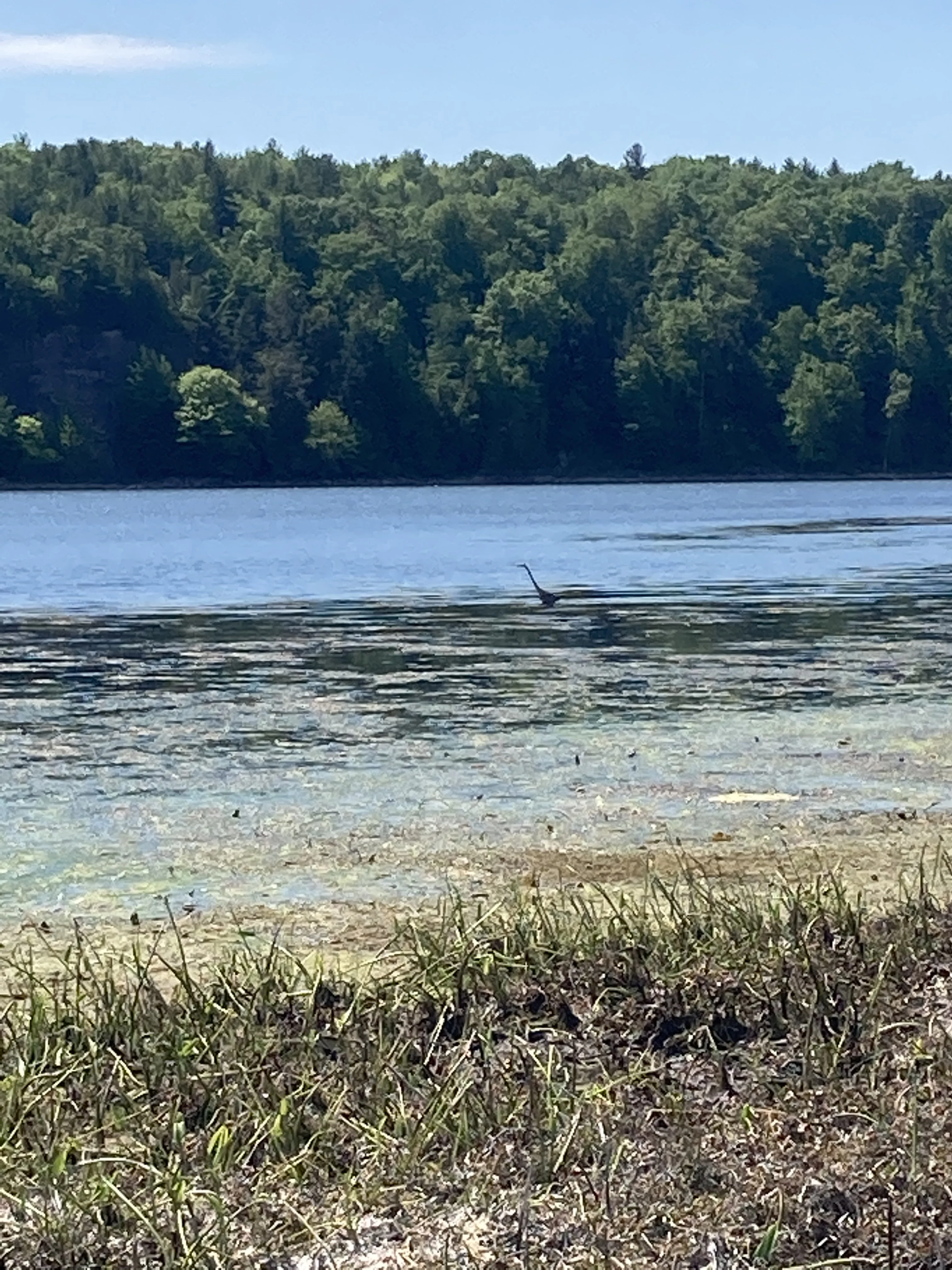 Red Lake in Theresa near Watertown