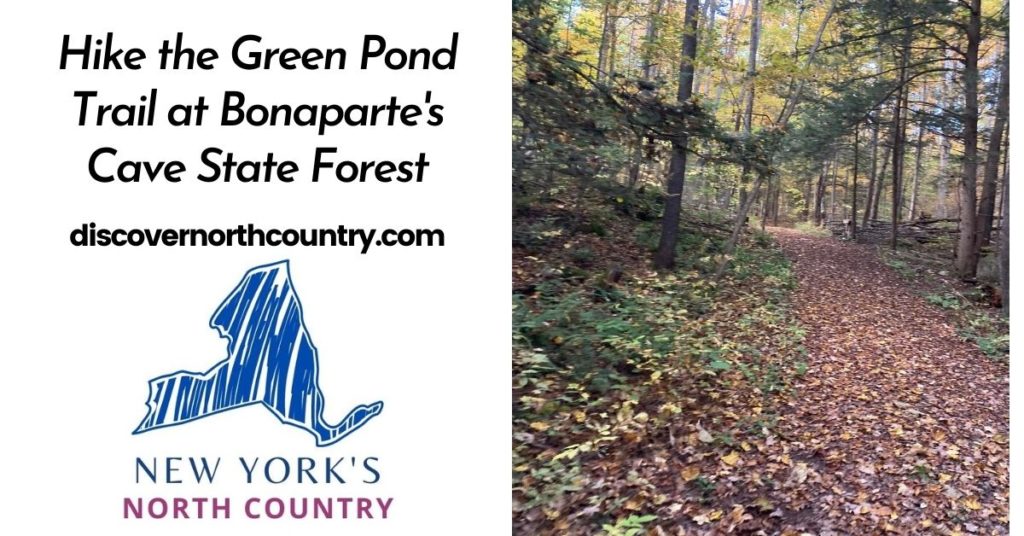 Hike the Green Pond Trail at Bonaparte's Cave State Forest