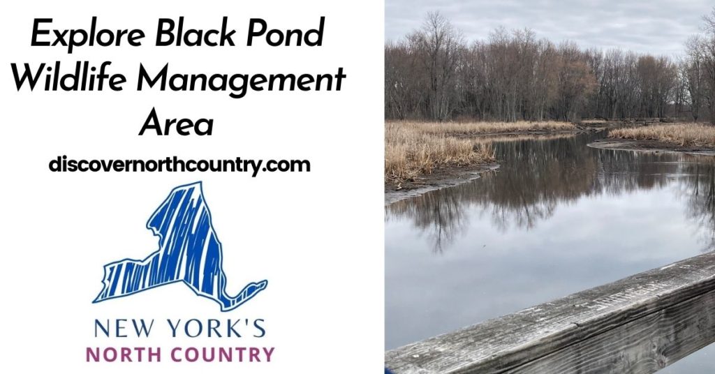Explore Black Pond Wildlife Management Area