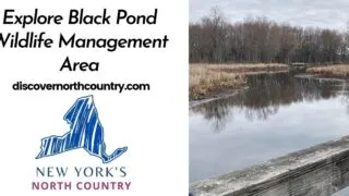 Explore Black Pond Wildlife Management Area