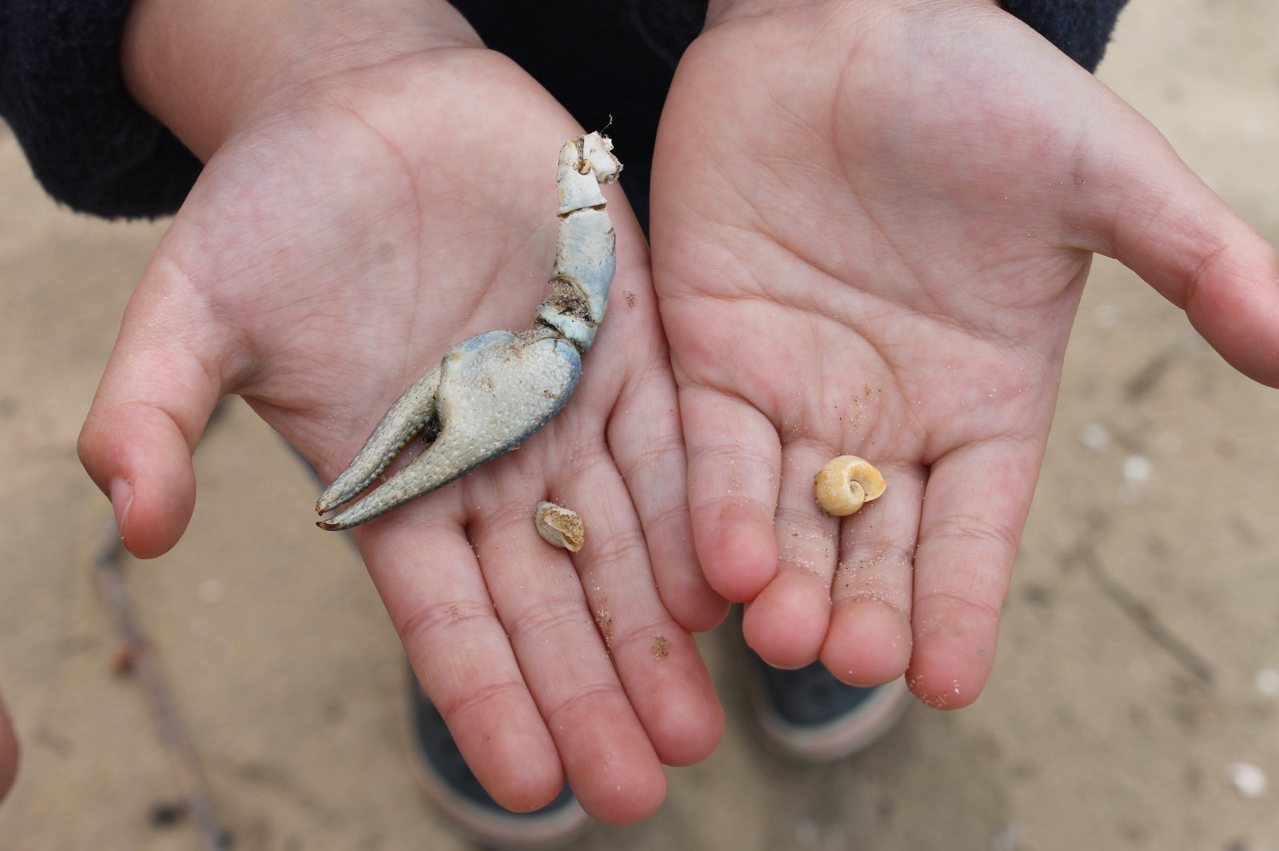 Guide to Wescott Beach State Park New York - Discover New York's North ...