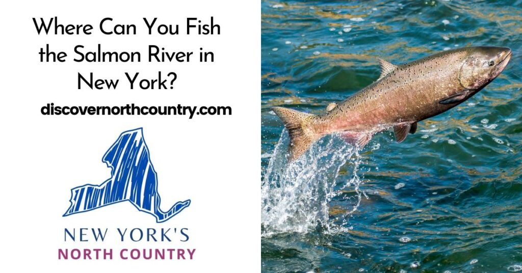 Where Can You Fish the Salmon River in New York