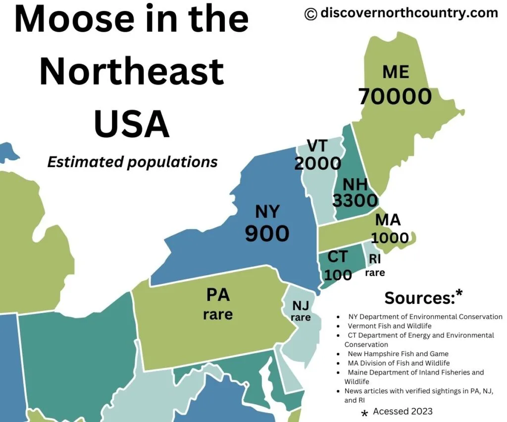 Estimates of moose population in the northeastern United States, including as many as 70000 in Maine, 2000 in Vermont, 3300 in New Hampshire, 1000 in Massachusetts, 100 in Connecticut, with rare sightings in Rhode Island, Pennsylvania, and New Jersey.  Sources are included in the graphic, primarily from the respective fish and game departments of each state government